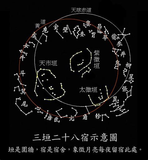 二十八星宿動物|二十八星宿里的斗木獬 壁水貐 动物原型是什么？